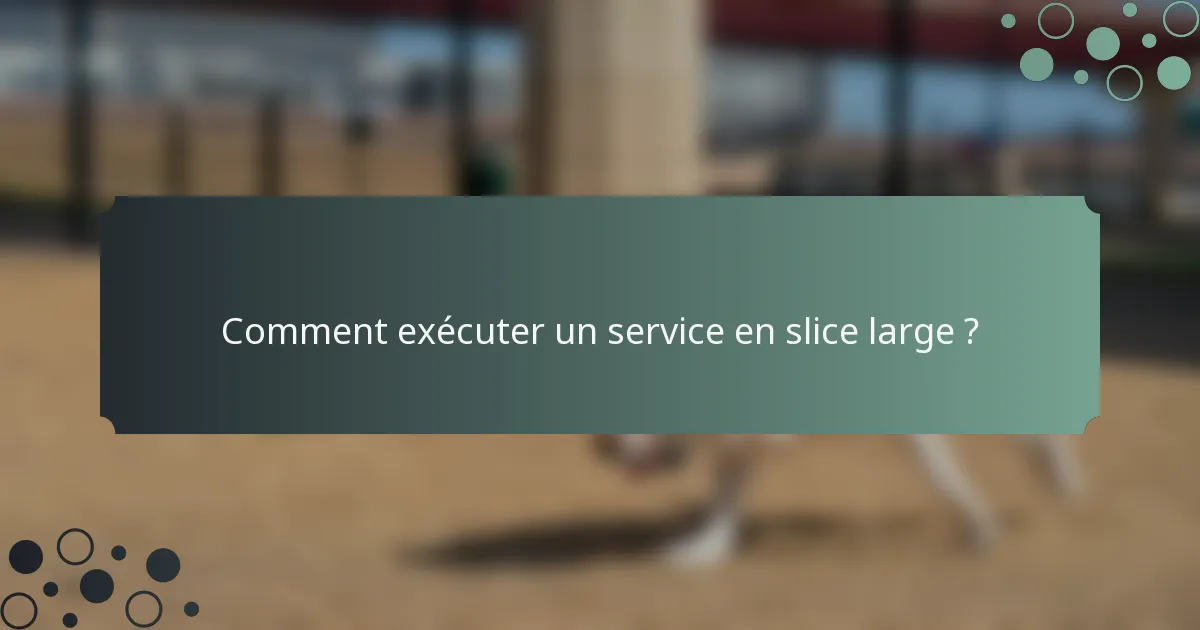 Comment exécuter un service en slice large ?