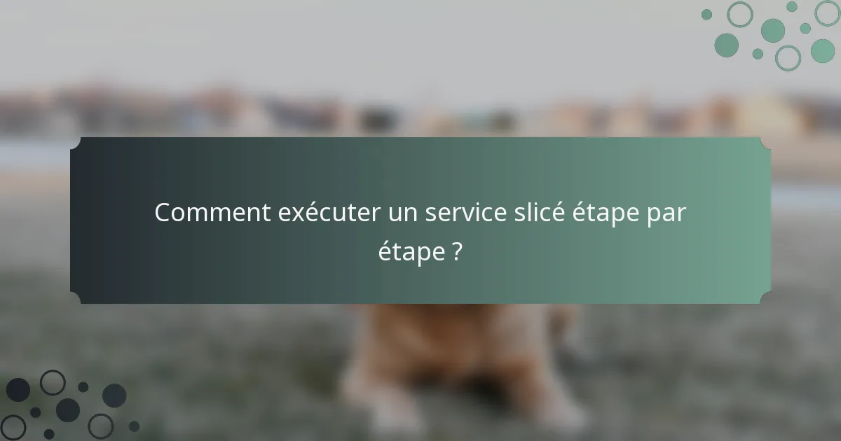 Comment exécuter un service slicé étape par étape ?